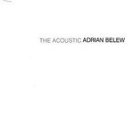 Adrian Belew, The Acoustic Adrian Belew, 1993