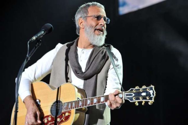 Cat Stevens