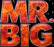 Mr. Big - , 