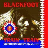 Train Train: Southern Rock's Best - Live, 2007 .