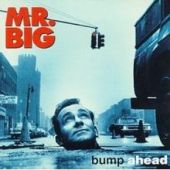 Mr. Big, Bump Ahead, 1993