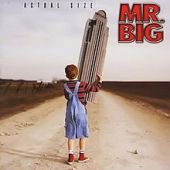 Mr. Big, Actual Size, 2001