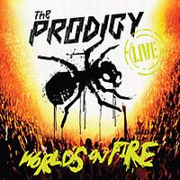 World's on Fire, 2011 .