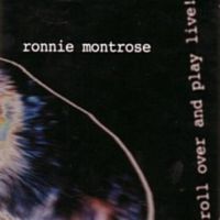 Ronnie Montrose, Bearings, 1999 .