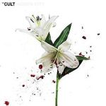 The Cult, Hidden City, 2016 .