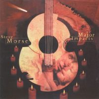 Steve Morse, Major Impacts, 2000