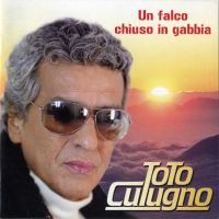 Toto Cutugno, Un falco chiuso in gabbia, 2008