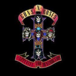 Appetite for Destruction, 1987