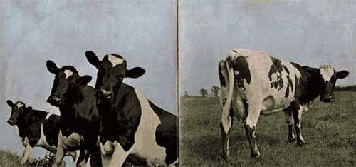 Pink Floyd, "Atom Heart Mother",   1970 