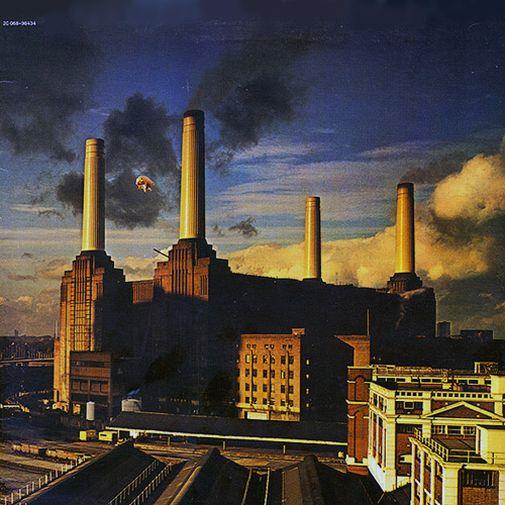 Pink Floyd, "Animals", 1977, France