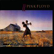 Pink Floyd, A Collection of Great Dance Songs, 1981