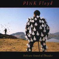 Pink Floyd, Delicate Sound of Thunder, 1988