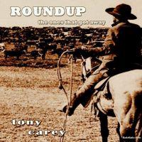 RoundUp, 2008