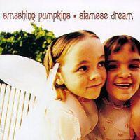 Siamese Dream, 1993